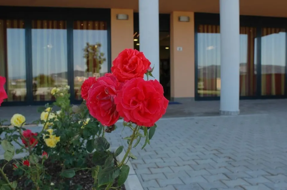 Hotel Grecale - Venturina Terme